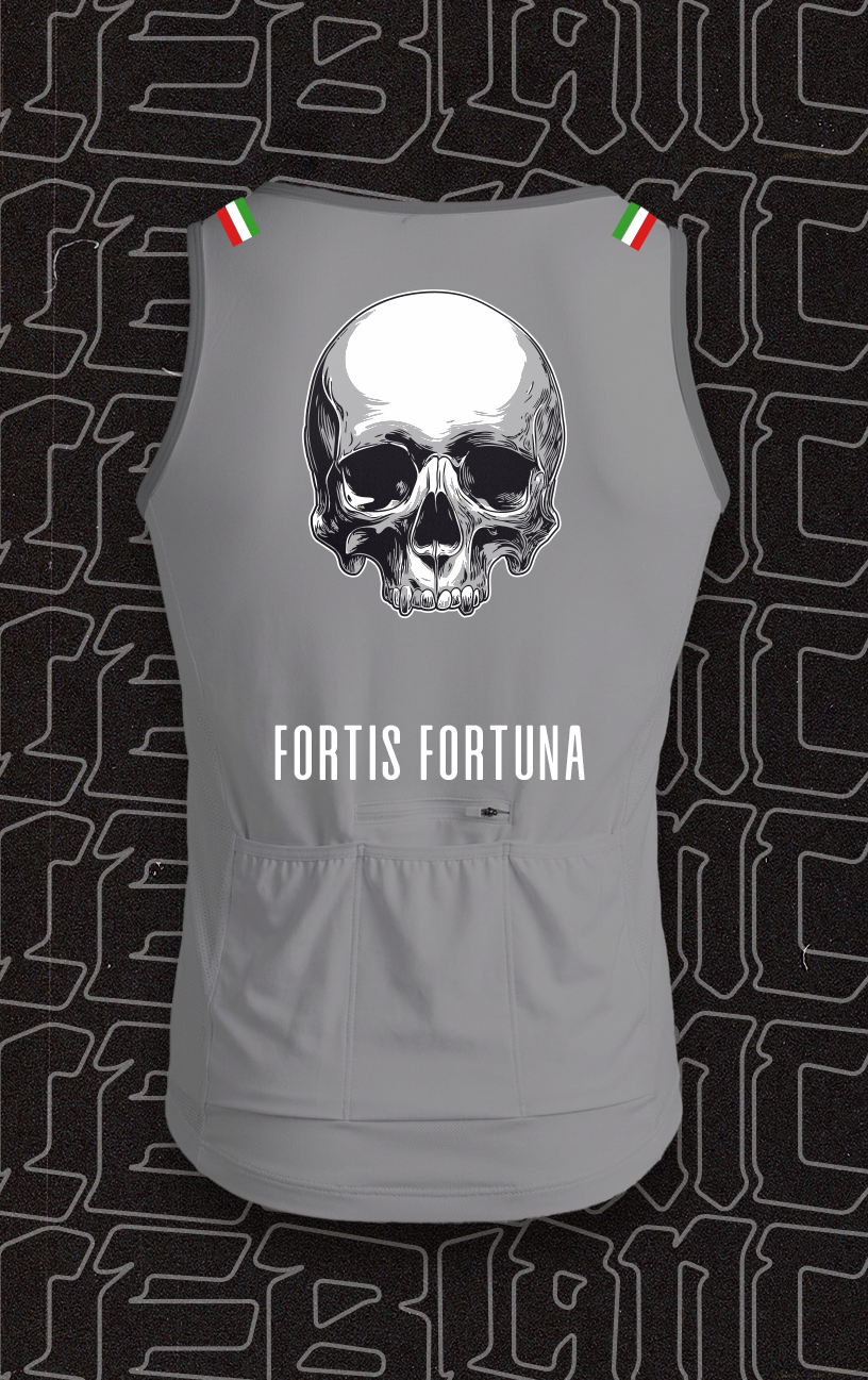 Dirt Tank Gray Skull Fortis Fortuna